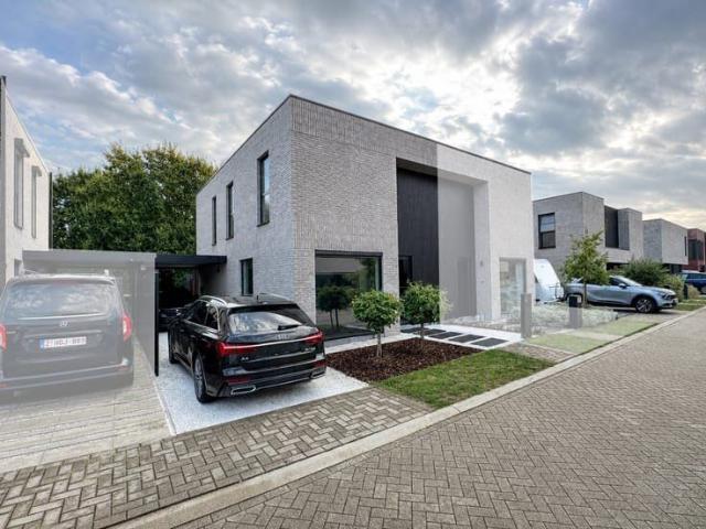 Maison location à Sint-niklaas, Oost-Vlaanderen