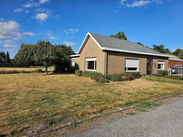 Maison location à Deinze, Oost-Vlaanderen