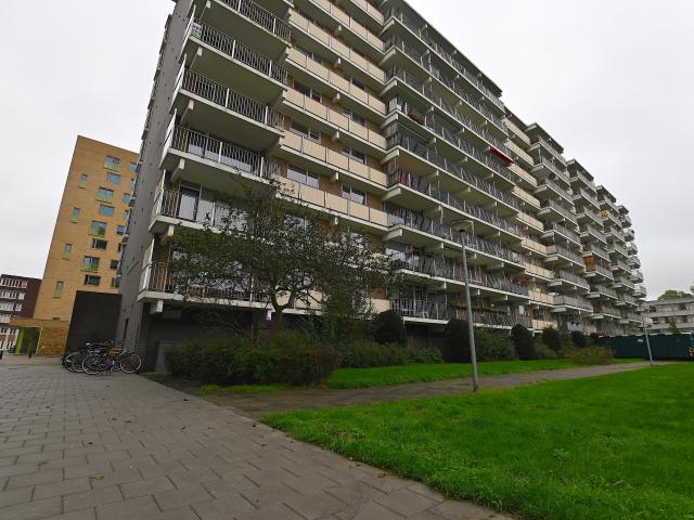 Kamer te huur in Paddepoel-Zuid, Groningen