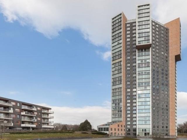 Appartement te huur in Meeuwenplaat, Hoogvliet