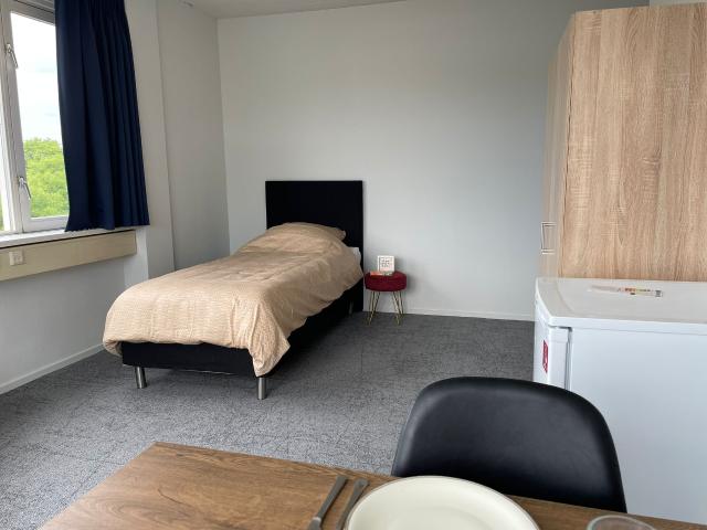 Kamer te huur in Rijswijk, Zuid Holland