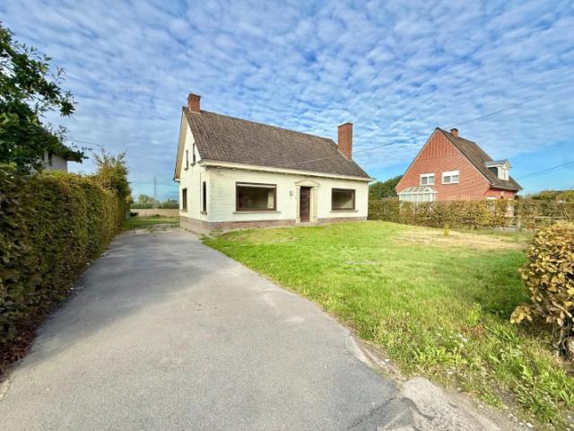 Maison location à Anzegem