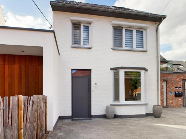 Maison location à Maaseik