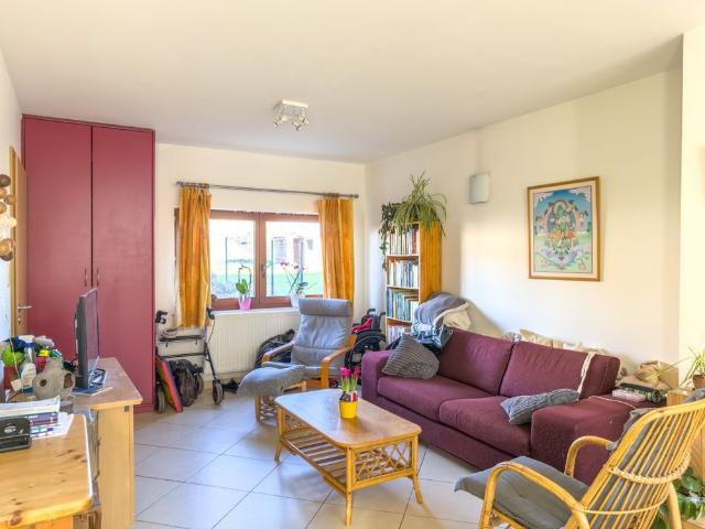 Maison location à Tienen, Brabant