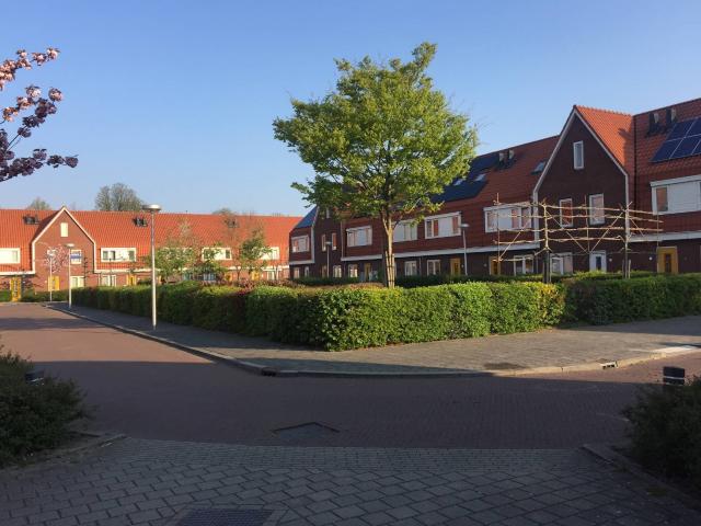 Woning te huur in Ondiep, 2e Daalsebuurt, Utrecht