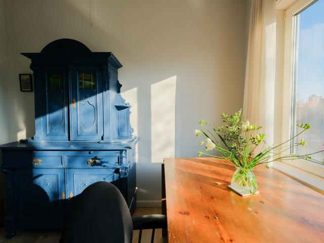 Woning te huur in Haarlem, Haarlem