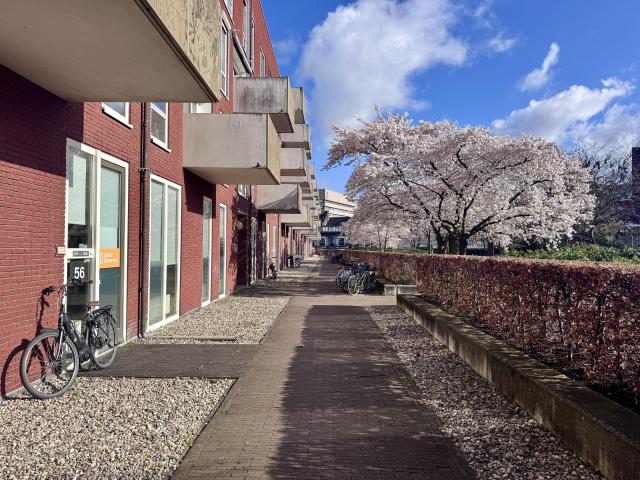 Appartement te huur in Haarzuilens, Utrecht