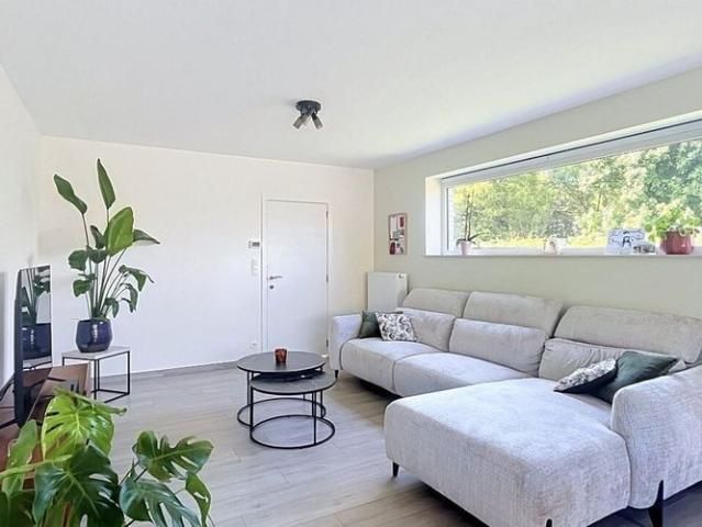 Maison location à Maldegem, Oost-Vlaanderen