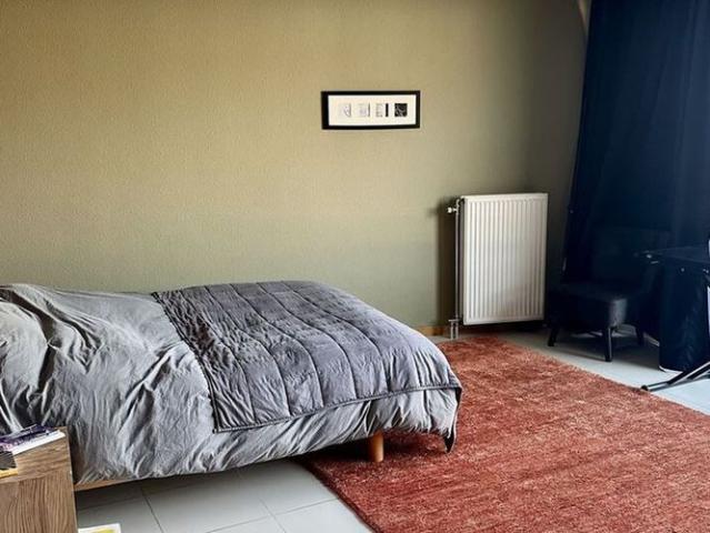 Maison location à Audenarde, Oost-Vlaanderen