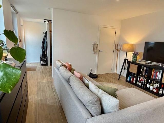 Maison location à Renaix, Oost-Vlaanderen