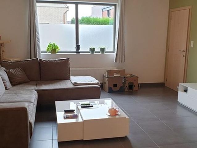 Maison location à Zele, Oost-Vlaanderen