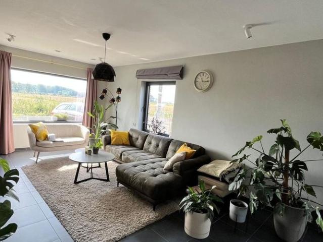 Maison location à Zomergem, Oost-Vlaanderen