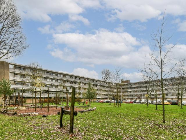 Studio te koop in Zaandam, Noord Holland