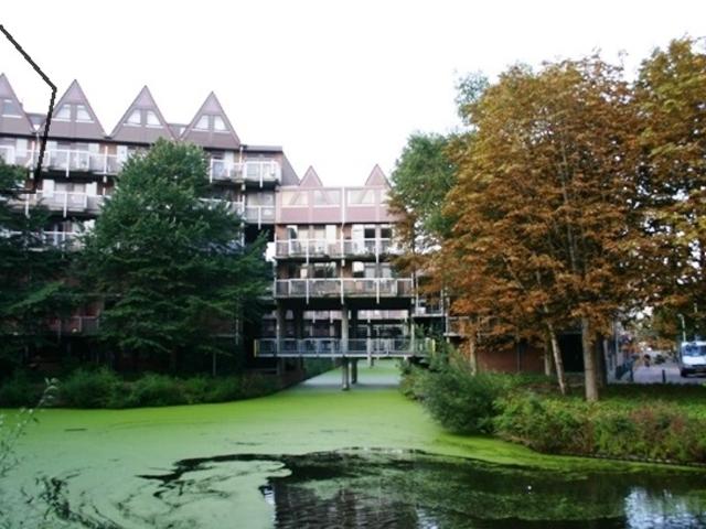 Dubbele Bovenwoning te koop in Oude Noorden, Rotterdam