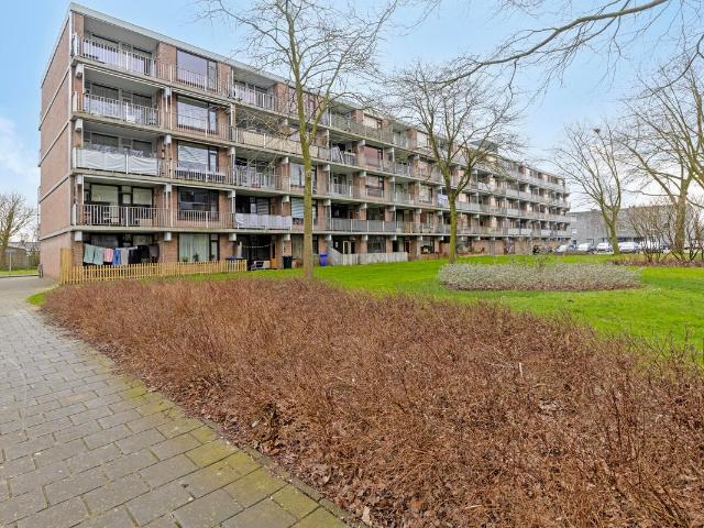 Studio te koop in Terneuzen-Zuid, Zeeland