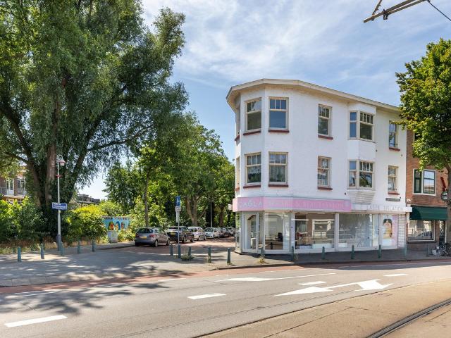 Landhuis te koop in 's-gravenhage, Molenwijk