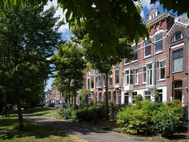 Herenhuis te koop in Rotterdam, Provenierswijk