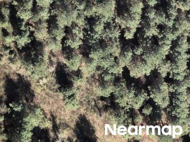 Property for sale in Willis, Texas