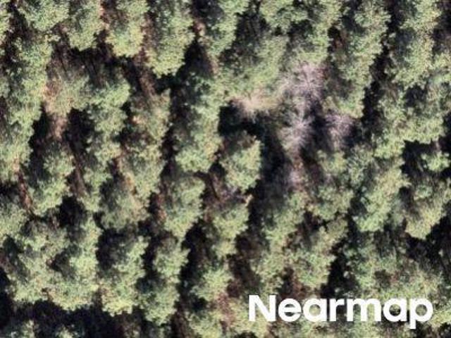 Property for sale in Willis, Texas