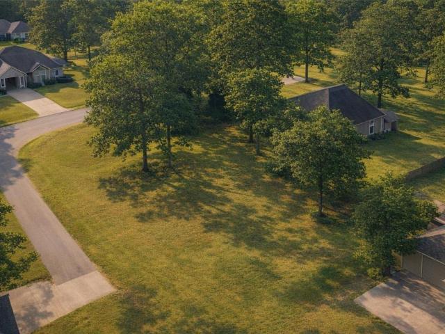 Land for sale in West Columbia, Texas