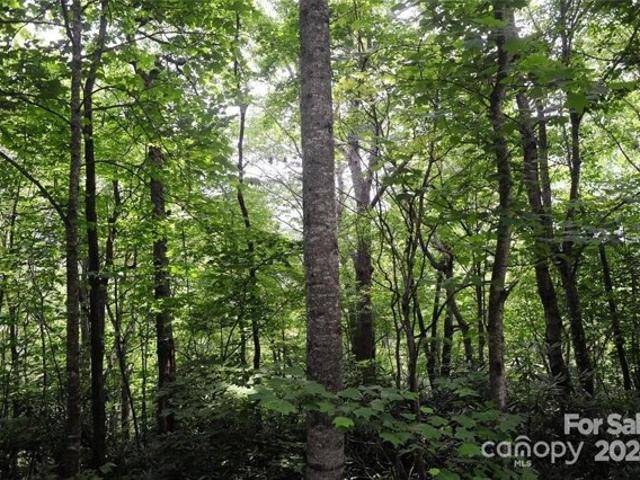 Land for sale in Black Mountain, North Carolina
