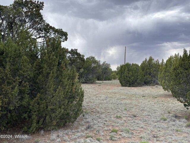 House for sale in Arizona