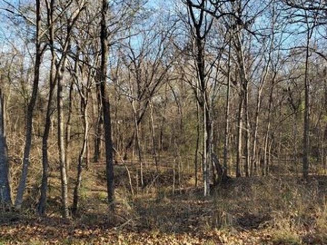Land for sale in Mabank, Kaufman County
