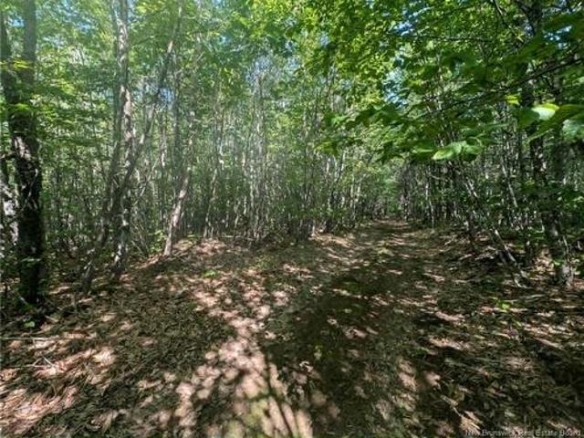 Land for sale in Albert, New Brunswick