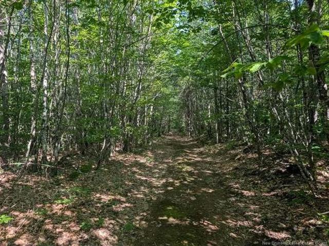 Land for sale in Albert, New Brunswick