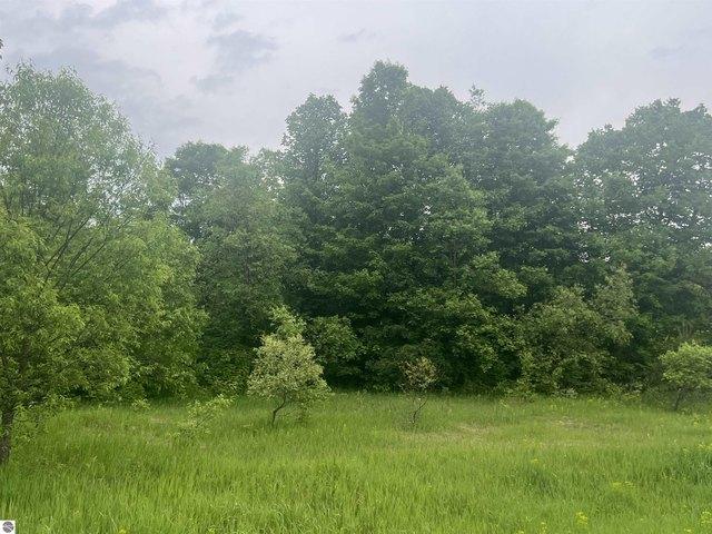 Land for sale in Kalkaska, Michigan