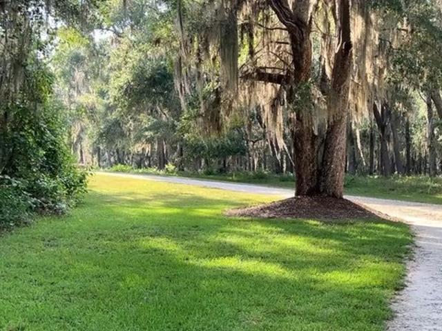 Land for sale in Darien, McIntosh County
