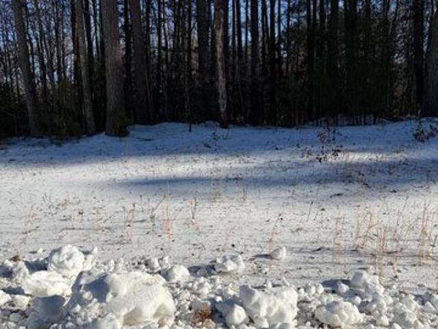 Land for sale in Virginia