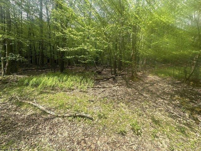 Land for sale in Terra Alta, West Virginia