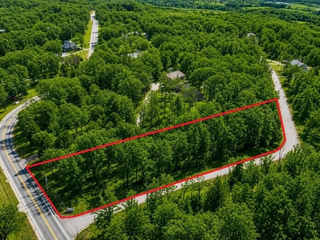 Land for sale in Forsyth, Missouri