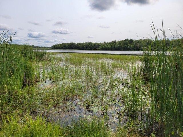 Land for sale in Carlton, Minnesota