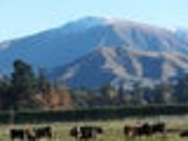 Land for sale in Woodbury, Canterbury