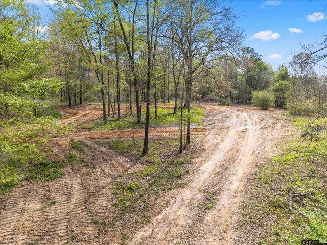 Land for sale in Camp, Texas
