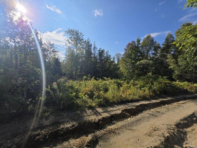 Land for sale in Saint Albans, Maine