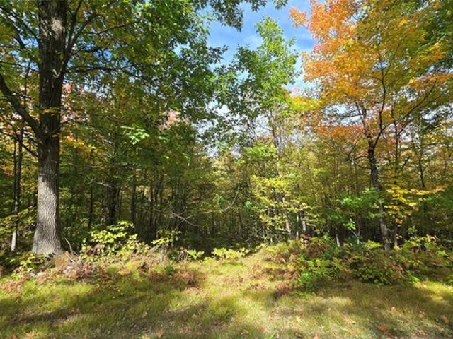 Land for sale in Cable, Wisconsin
