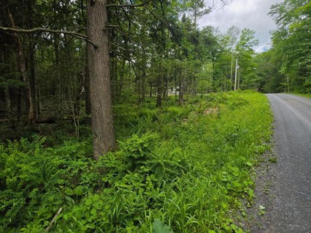 Land for sale in Sullivan, Pennsylvania