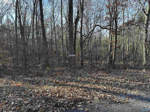 Land for sale in Scottsboro