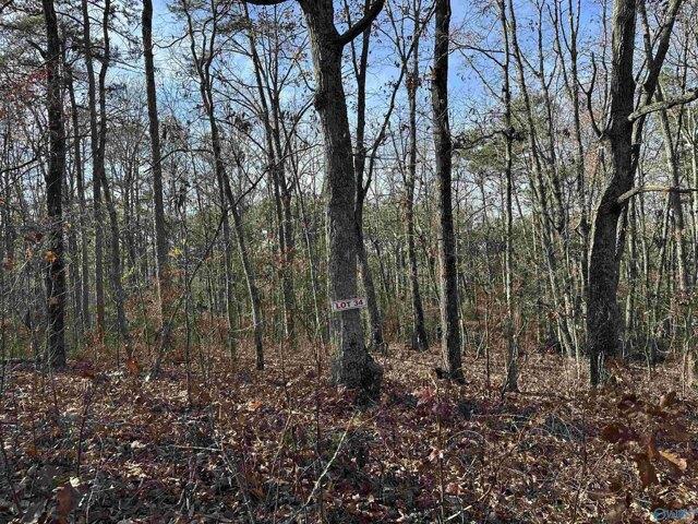 Land for sale in Scottsboro