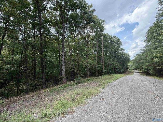 Land for sale in Scottsboro, Alabama