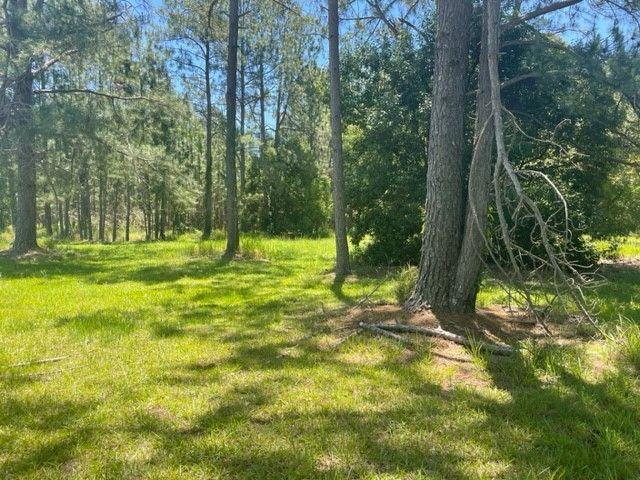 Land for sale in Toombul, Queensland