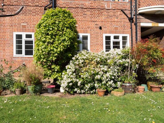 Apartment for rent in Snaresbrook, Greater London