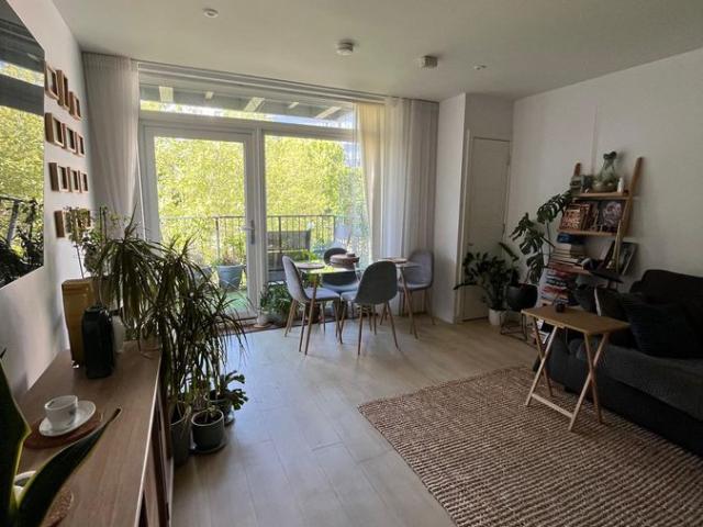 Room for rent in North Watford