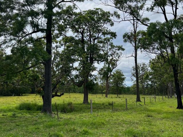 Cottage for sale in Toombul, Queensland