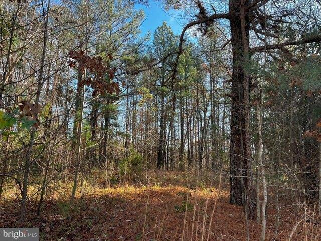 Land for sale in Woodford Land for sale in Woodford