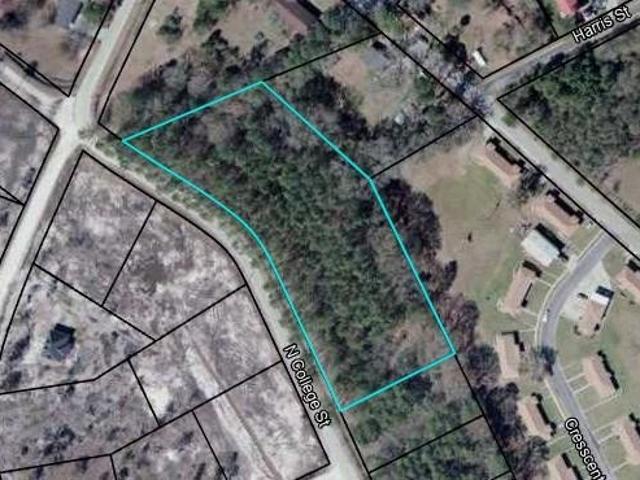 Land for sale in Homerville, Georgia