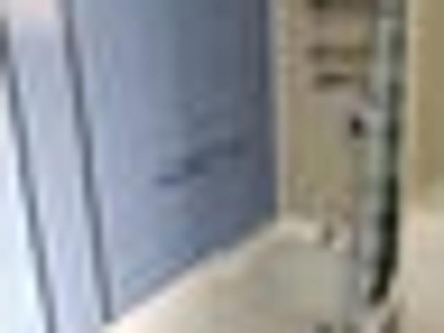 House for rent in Woodhaugh, Dunedin
